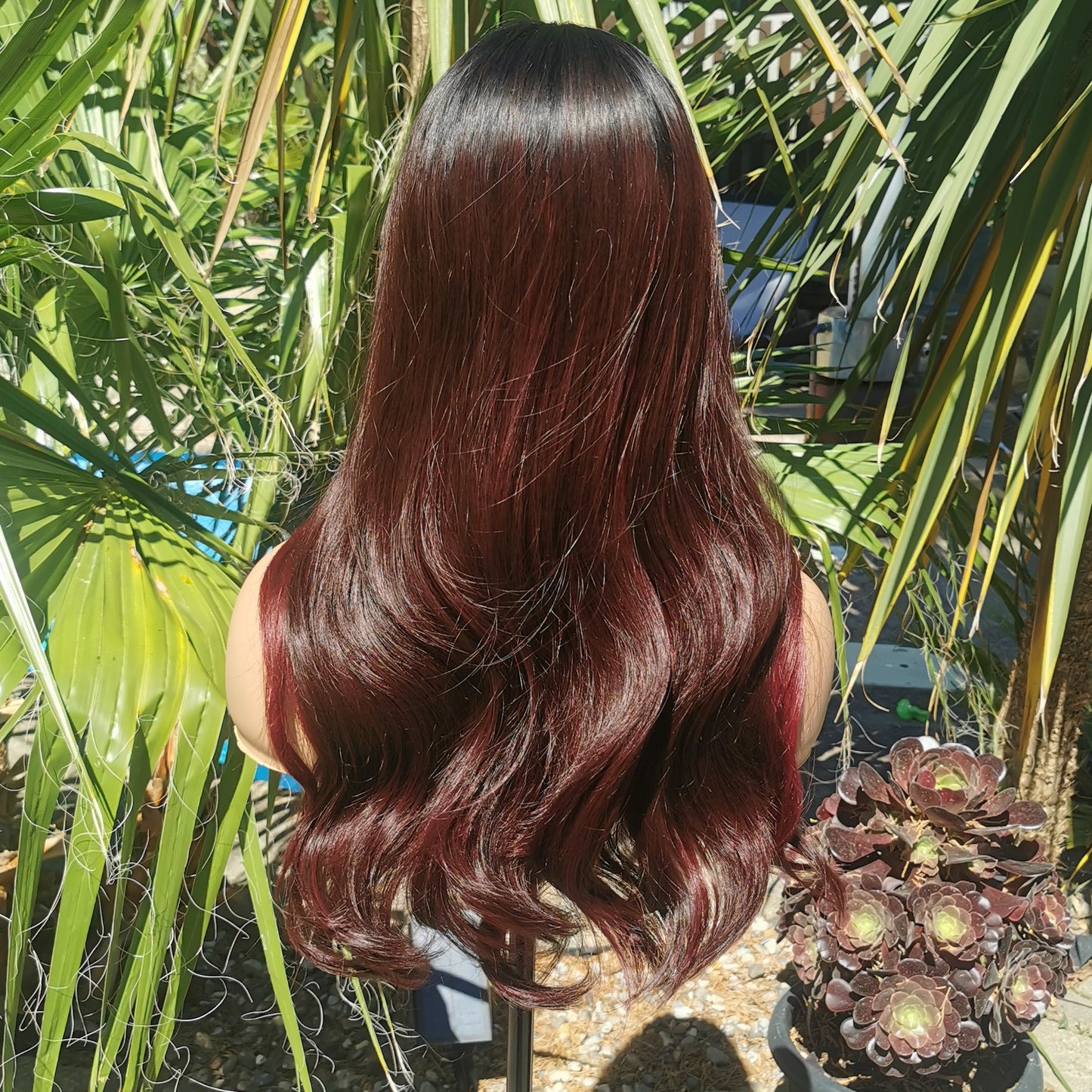 Red Setter - Keshleysheadshop
