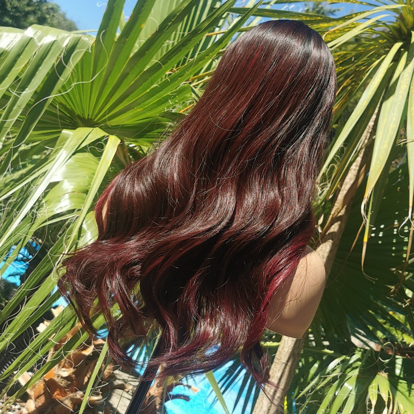 Red Setter - Keshleysheadshop