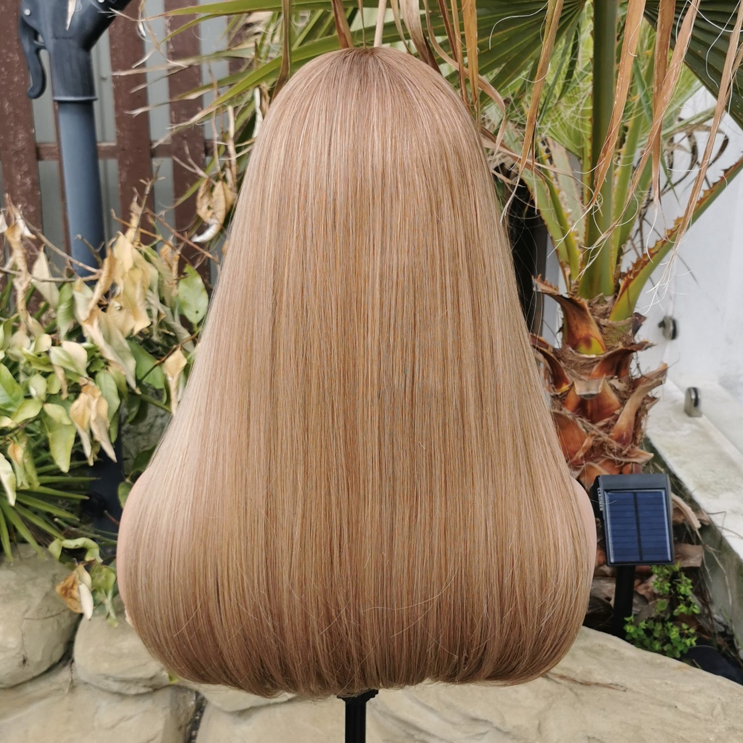 Daphne - Keshleysheadshop
